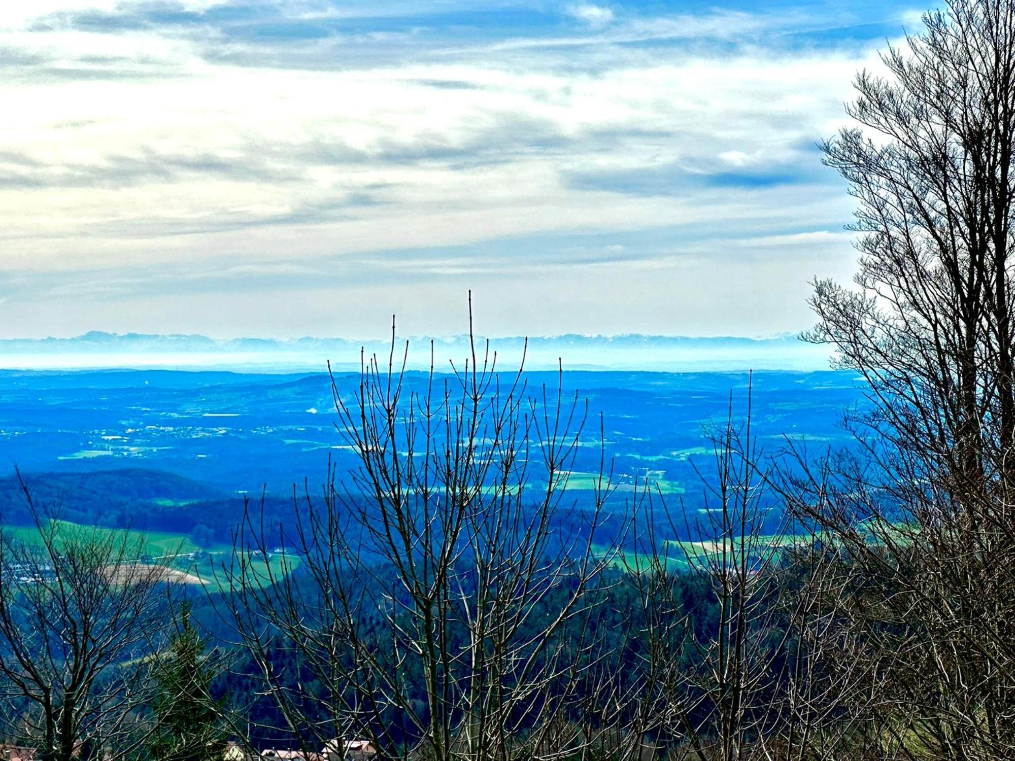 Gemuetliches Alpenblick Berg-Bungalow + Grosser Garten + Netflix! Schofweg Luaran gambar
