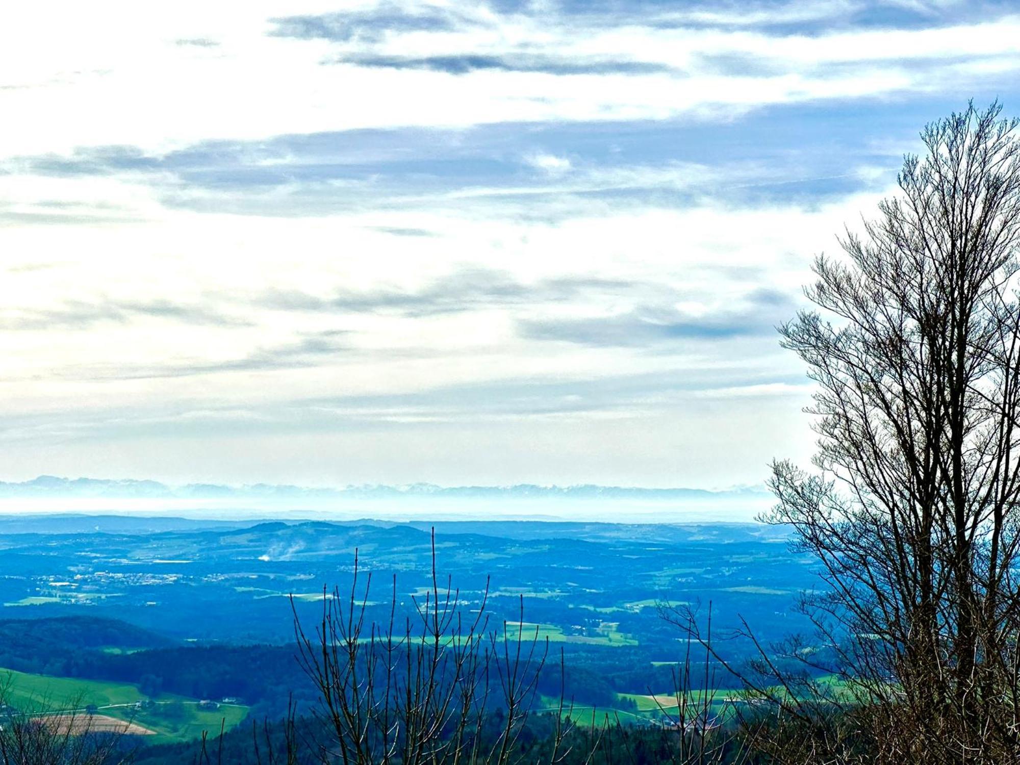 Gemuetliches Alpenblick Berg-Bungalow + Grosser Garten + Netflix! Schofweg Luaran gambar